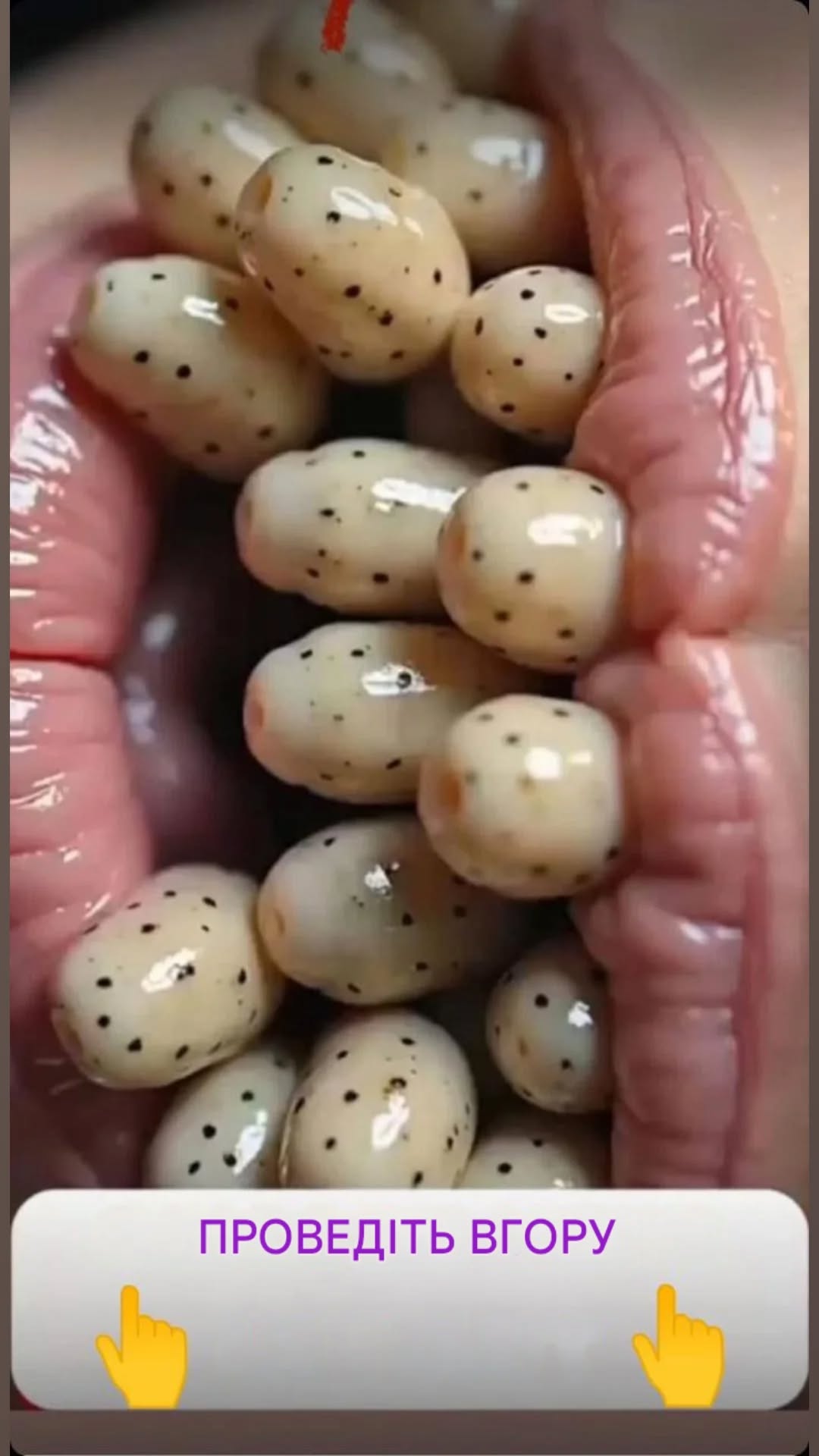 Чому всі говорять про цю відбілюючу зубну пасту, яка коштує менше 5 євро?